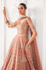 Embroidered Poly Net Fabric (1Pc) Ash Pink