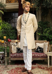 Pakistani Men Sherwani Shawl Style Designer