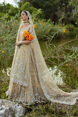 Embellished Kameez and Lehenga Pakistani Bridal Dress